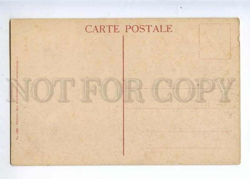 233060 TURKEY CONSTANTINOPLE Selamlik Yildiz Vintage postcard