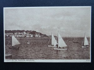Devon Collection x 3 APPLEDORE & INSTOW - Old Postcard