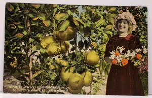 Florida Pretty Lady with Oranges In Grapefruit Orchard Postcard H8