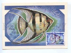 419416 KOREA 1991 year FISH maximum card
