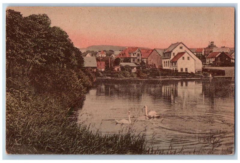 Baumholder Rhineland-Palatinate Germany Postcard Two Ducks Swimming c1910