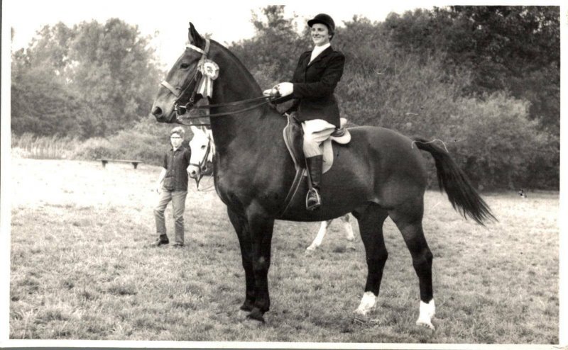 Horse Sport Horse Rider RPPC 03.00