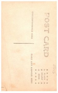 2 women on Donkeys   RPC