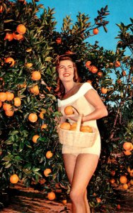 California Beautiful Girl Picking California Oranges