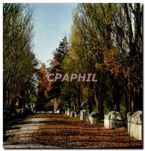 Postcard Modern Arles Alyscamps L & # 39Allee Coffin