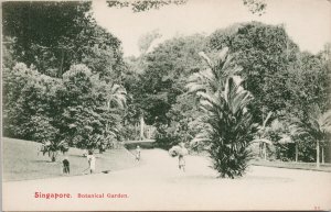 Singapore Botanical Gardens Unused Postcard G99