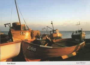 Sidmouth Port Royal Boats Devon Postcard