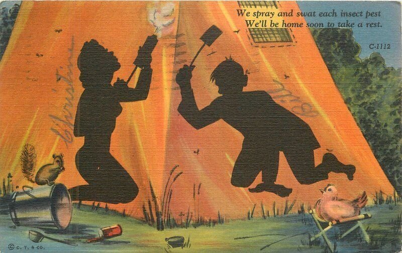 1941 Camping tent Silhouette Insect Comic humor Teich C-1112 Postcard 22-9927 