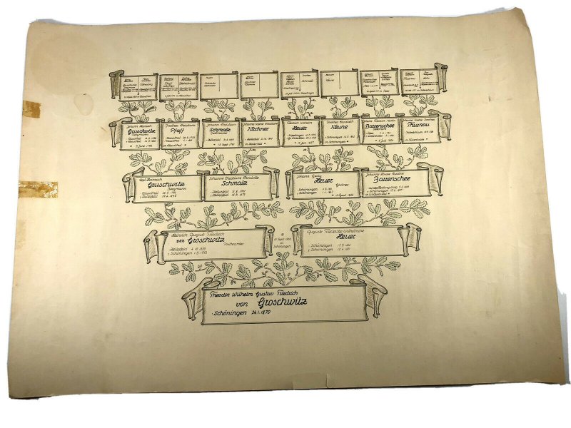 Vtg Theodor von Groschwitz Family Tree Geneology 1700's to 1870 German Print