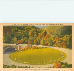 Great Smoky Mountains Newfound Gap Highway Loop, Linen, 1951 Postmark