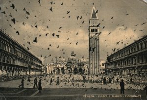 Vintage Postcard 1905 Venezia Piazza S. Marco Piccionata St. Mark & Pigeons