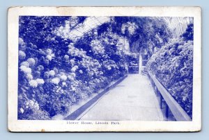 Flower House Conservatory Lincoln Park Chicago Illinois IL 1910 DB Postcard F19