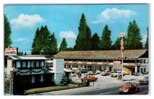 SOUTH LAKE TAHOE, California CA ~ Roadside ECHO MOTEL c1960s VW Bug Postcard