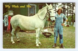 My Mule and Me Hillbilly Humor Comic UNP Unused Chrome Psotcard M5 