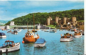 Wales Postcard - Conwy from Marine Walk - Ref 4694A