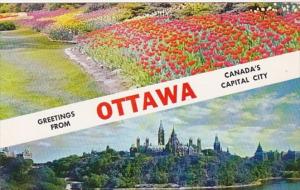 Canada Greetings From Ottawa Showing Tulip Gardens & Houses Of Parliament