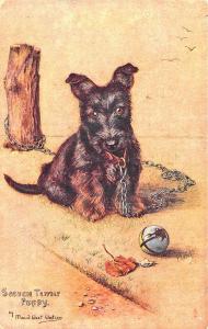 Raphael Tuck Signed Maude West Watson Scotch Terrier Puppy Postcard