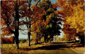 Alabama Greetings From Guin Lengthening Shadows