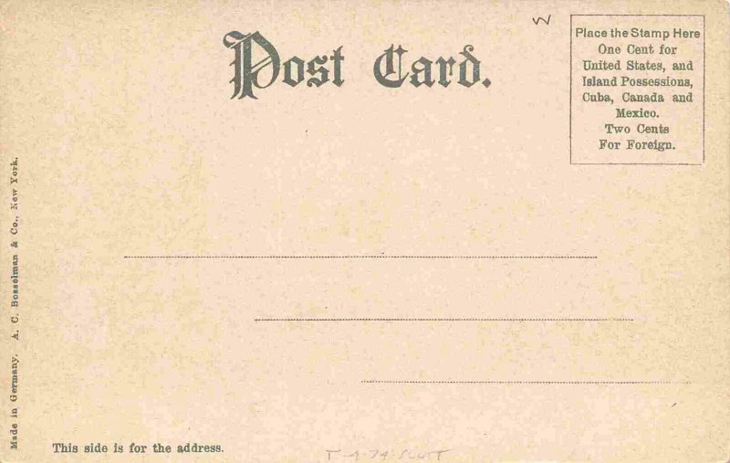 USS Vesuvius US Navy Dynamite Boat Warship 1905c postcard