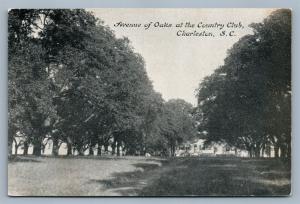 ANDERSON SC AVENUE OF OAKS AT COUNTRY CLUB ANTIQUE POSTCARD