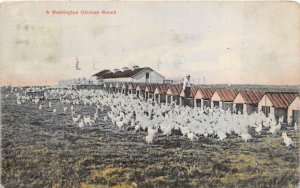 A WASHINGTON CHICKEN RANCH PORTALND OREGON TO TONOPAH NEVADA POSTCARD 1913