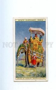 166940 State ELEPHANT India Vintage ADVERTISING CADBURY Card