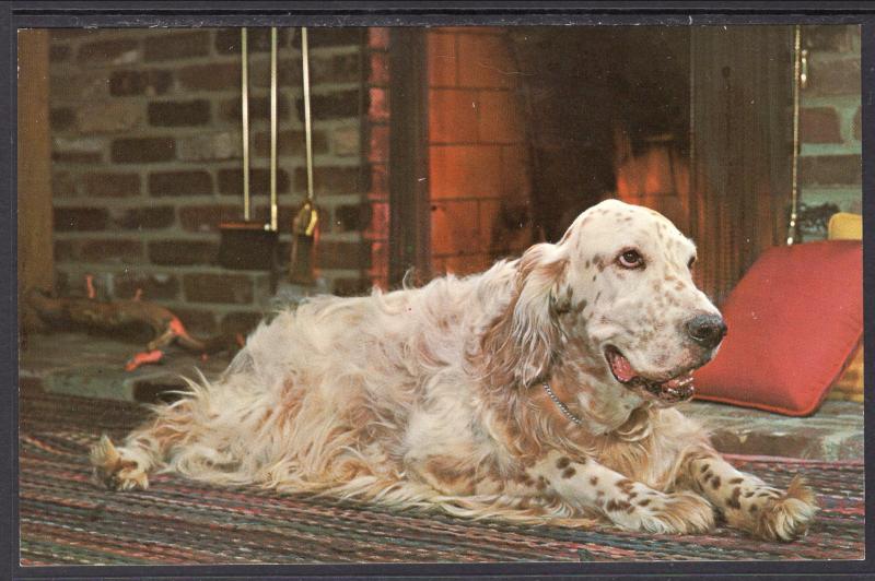 English Setter by the Fireplace