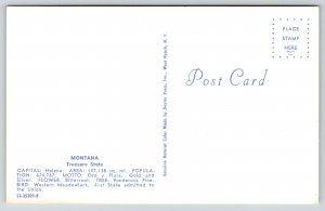 State Map~Greetings From Montana~Bitter Root Flower~Stanford~Forsyth~1950s PC