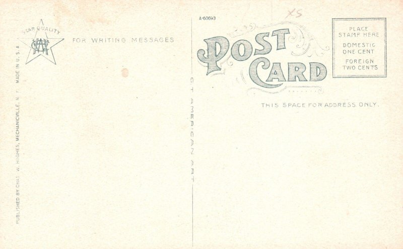 Vintage Postcard Beauty Curve Mohawk Trail Berkshire Hills Massachusetts Chas W.