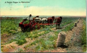 Vtg Postcard 1920 A Potato Digger In Operation - Portland Post Card Co.