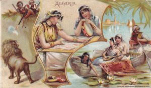 Arbuckle Bros Coffee Advertising Card, Algeria, circa 1880s (54236)