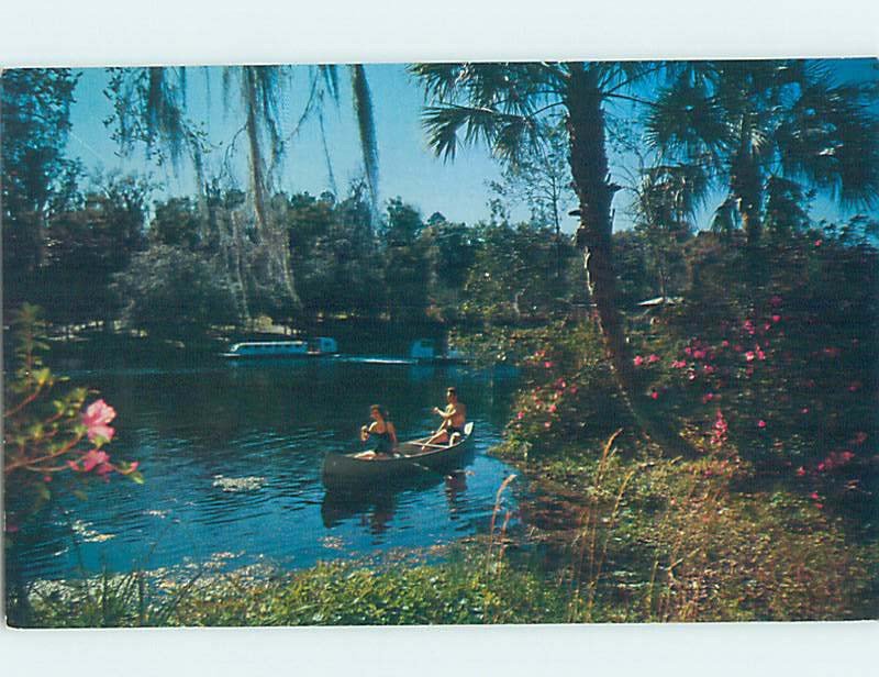 Pre-1980 NATURE SCENE Dunnellon - Near Ocala Florida FL AD2530