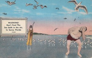 Florida Beach, Man Targeted by Seagull, Feeding Sea Gull, Humor 1930's