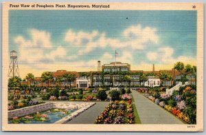 Hagerstown Maryland 1940s Postcard Front View Of Pangborn Plant