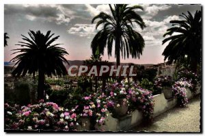 Postcard Modern Grasse His Vegetation Exotic Au Fond La Mediterranee