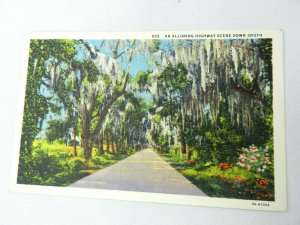 Vintage Postcard Spanish Moss An Alluring Highway Scene Down South 197 Linen