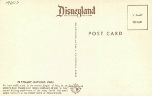 Anaheim California Disneyland Elephant Bathing Pool Postcard Amusement 20-3207