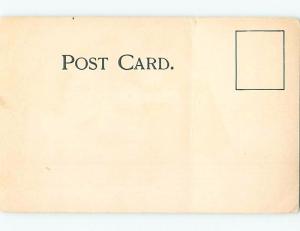 Pre-1907 FEDERAL BUILDING POST OFFICE & CITY HALL Buffalo New York NY A3276