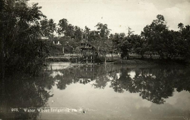 singapore malay malaysia, Water Wheel Irrigating Paddy Field (1920s) RPPC