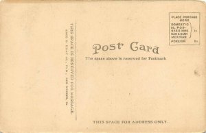 Des Moines Iowa c1910 Postcard A River Drive Dirt Road