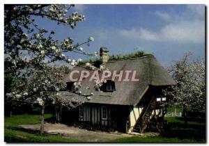 Modern Postcard Normandy Picturesque flowers Riviera Typical House Vernier marsh