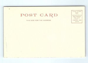 MT. SHASTA, CA California ~ MUIR'S BUTTE aka Black Butte c1900s Detroit Postcard