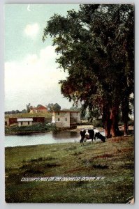 Dover NH Clough's Mill On The Cocheco New Hampshire Frank Swallow Postcard A40