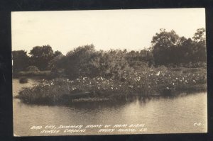 RPPC AVERY ISLAND LOUISIANA JUNGLE GARDENS BIRD CITY REAL PHOTO POSTCARD