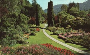 Vintage Postcard Famous Sunken Gardens Old Limestone Quarry Victoria BC Canada