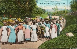 Greetings From Jamaica Women Going To Market Constant Spring Road Postcard E71