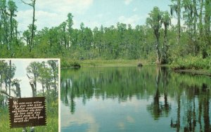 Vintage Postcard Okefenokee Swamp Park US No. 1 South Waycross Georgia GA