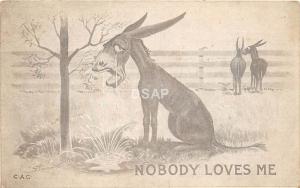 C76/ Lyndon Station Wisconsin Wi RPPC Photo Postcard 1911 Donkey Crying Comic