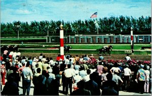 Vtg 1970s Thrilling Finish Hialeah Race Course Horse Racing Florida FL Postcard