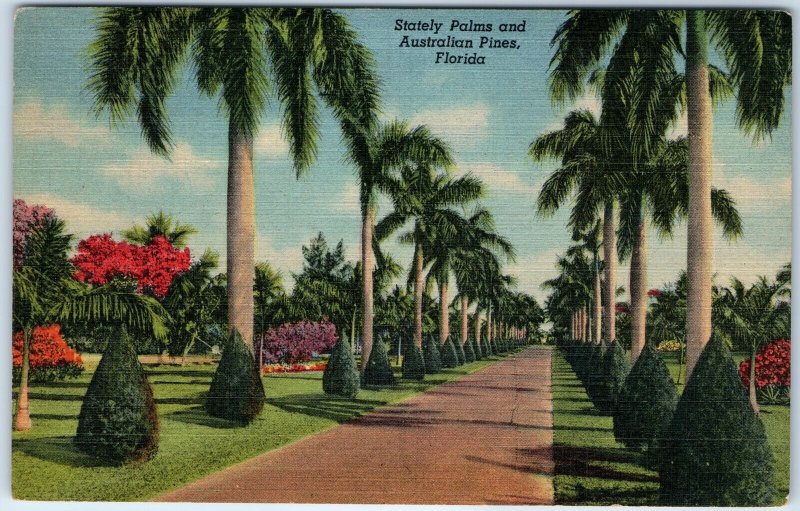 c1940s Pub. Miami, FL Australian Pines Stately Palms Linen PC Path Roadside A329